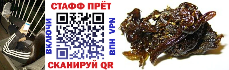 Где купить Карпинск КОКАИН  ГАШ  A PVP  Каннабис 