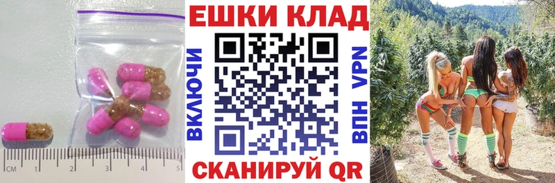 Ecstasy Philipp Plein  гидра рабочий сайт  Карпинск 