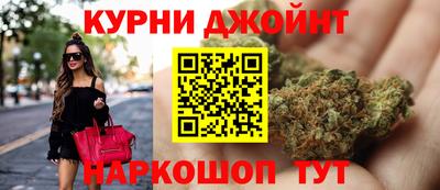 гидра Тара