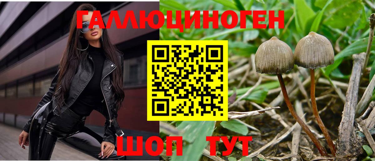 Псилоцибиновые грибы MAGIC MUSHROOMS Карпинск