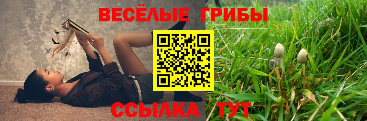 Псилоцибиновые грибы MAGIC MUSHROOMS  Галлюциногенные грибы Magic Shrooms  Карпинск  Вход с VPN 